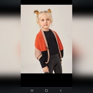 Multicolor 3t girl casual sweater